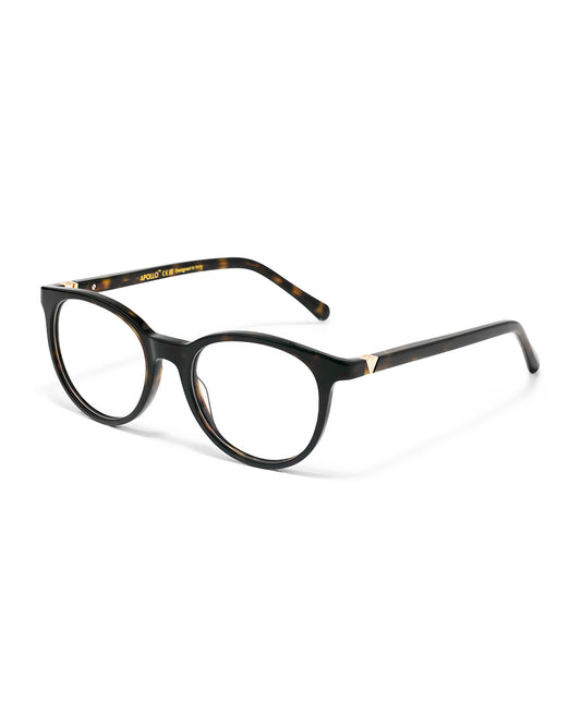 Lunettes de vue Apollo AP1213EX-C2 — vue de trois quarts