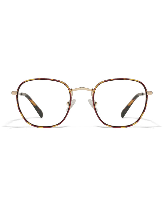 Lunettes de vue Apollo AP1179EX-C2 — vue de face, monture optique