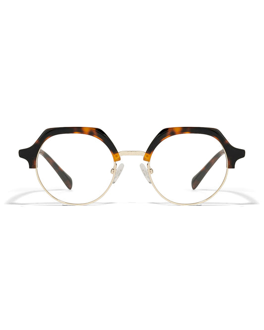 Lunettes de vue Apollo AP1214EX-C2 — vue de face, monture optique