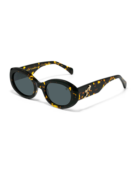 Lunettes de soleil Apollo AP3040-C2 — vue de face, verres polarisés UV400