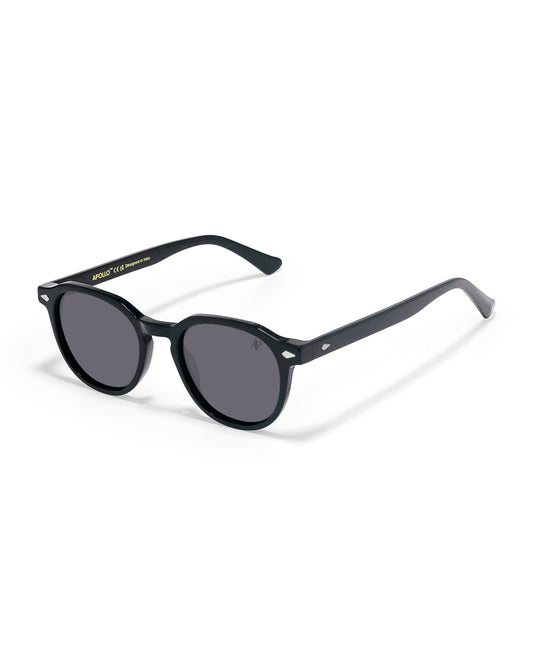 Lunettes de soleil Apollo AP3106-C1 — vue de trois quarts