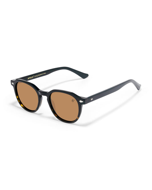 Lunettes de soleil Apollo AP3106-C2 — vue de trois quarts