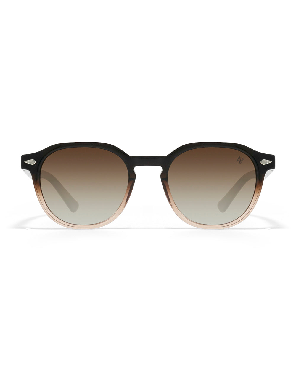 Lunettes de soleil Apollo AP3106-C4 — vue de face, verres polarisés UV400