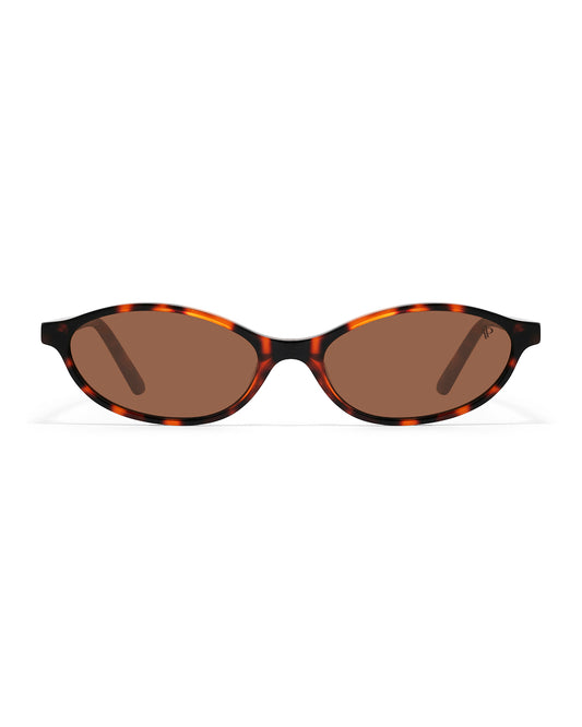 Lunettes de soleil Apollo AP3115-C2 — vue de face, verres polarisés UV400