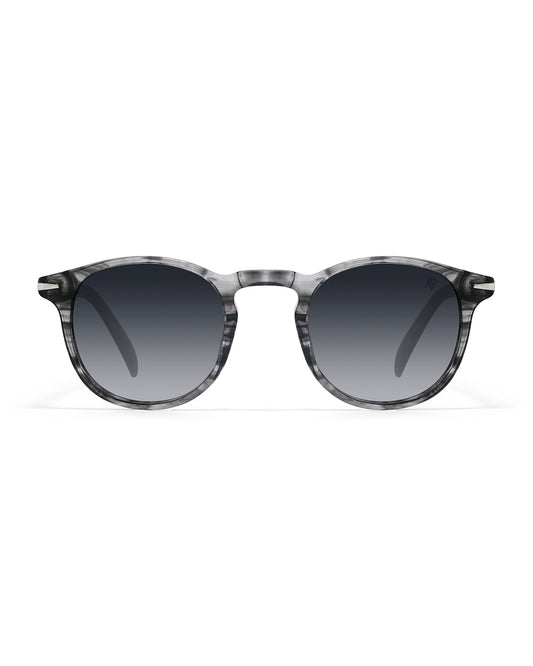 Lunettes de soleil Apollo AP3118-C2 — vue de face, verres polarisés UV400