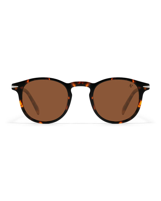 Lunettes de soleil Apollo AP3118-C4 — vue de face, verres polarisés UV400