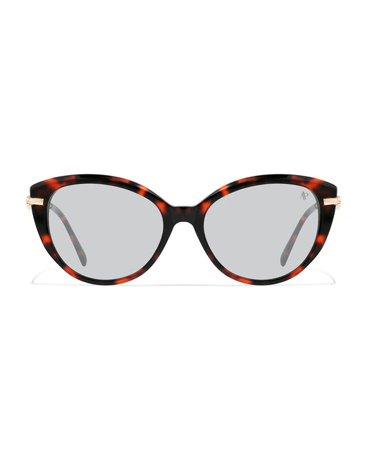 Lunettes de soleil Apollo AP3137-C2 — vue de face, verres polarisés UV400