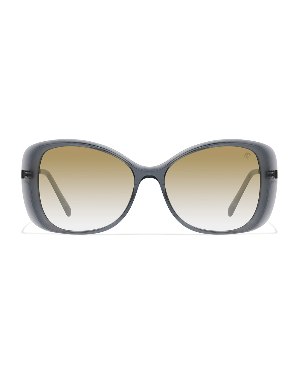 Lunettes de soleil Apollo AP3139-C2 — vue de face, verres polarisés UV400