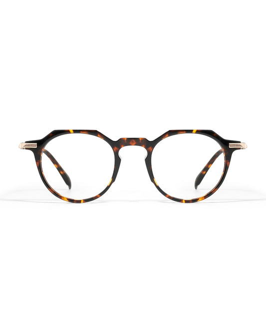 Lunettes de vue Apollo AP5031T-C3 — vue de face, monture optique