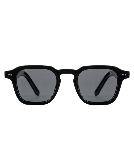 Lunettes de soleil Apollo AP3010 — vue de face, verres polarisés UV400